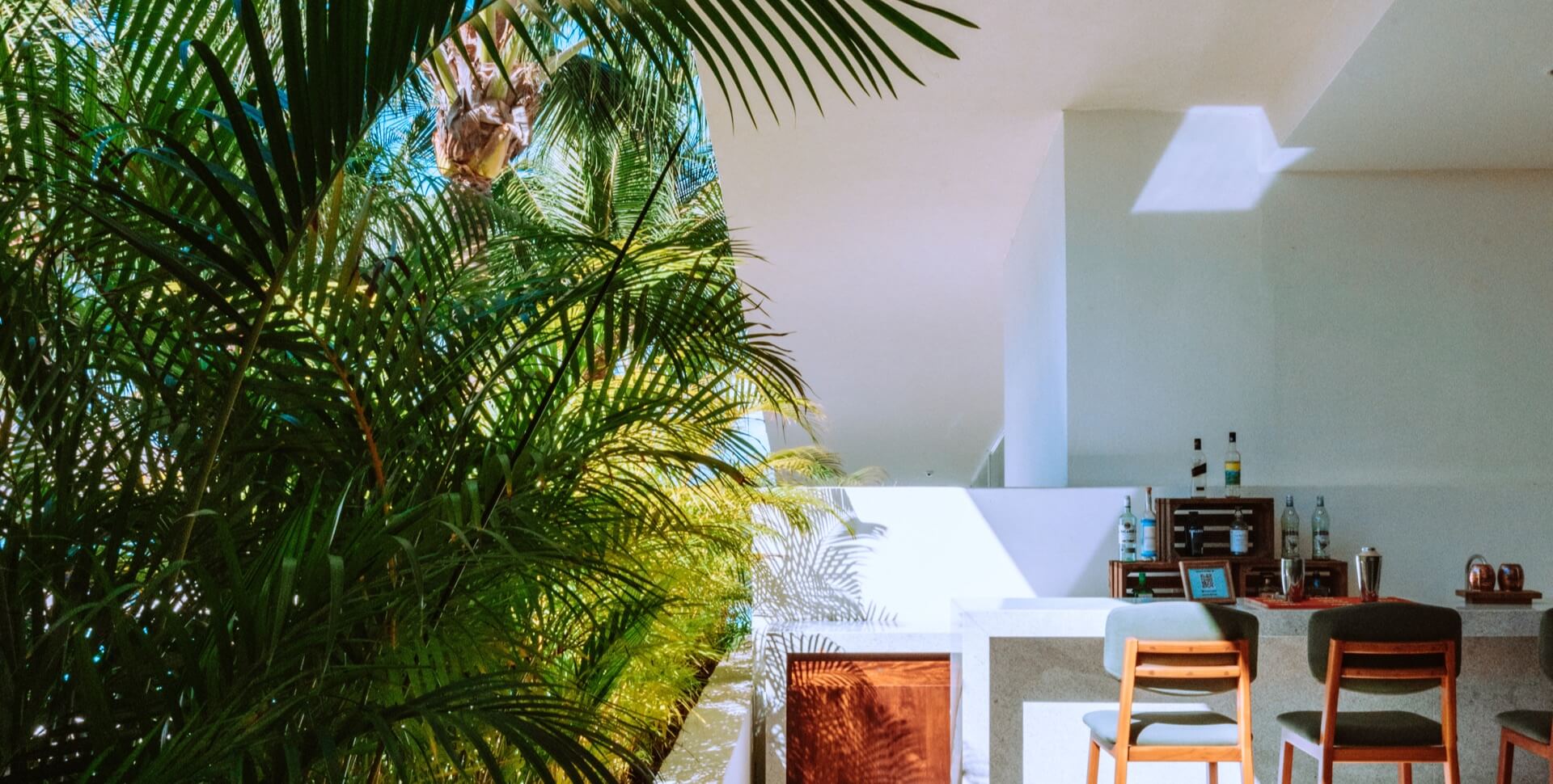 A outdoor bar area with a palm tree and seating
